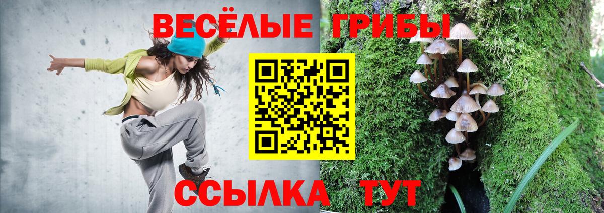 Артёмовский  Псилоцибиновые грибы Psilocybe  Псилоцибиновые грибы GOLDEN TEACHER  купить  цена  Вход с VPN 